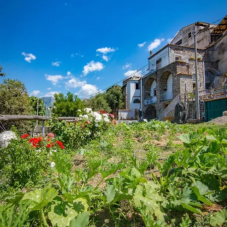 Guest house Mariagiovanna - Casa Maria